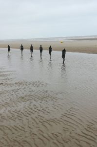 Mer